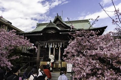 ⛩️ 오오마에 에비스 신사(오오마에 에비스 진자) 이미지 2